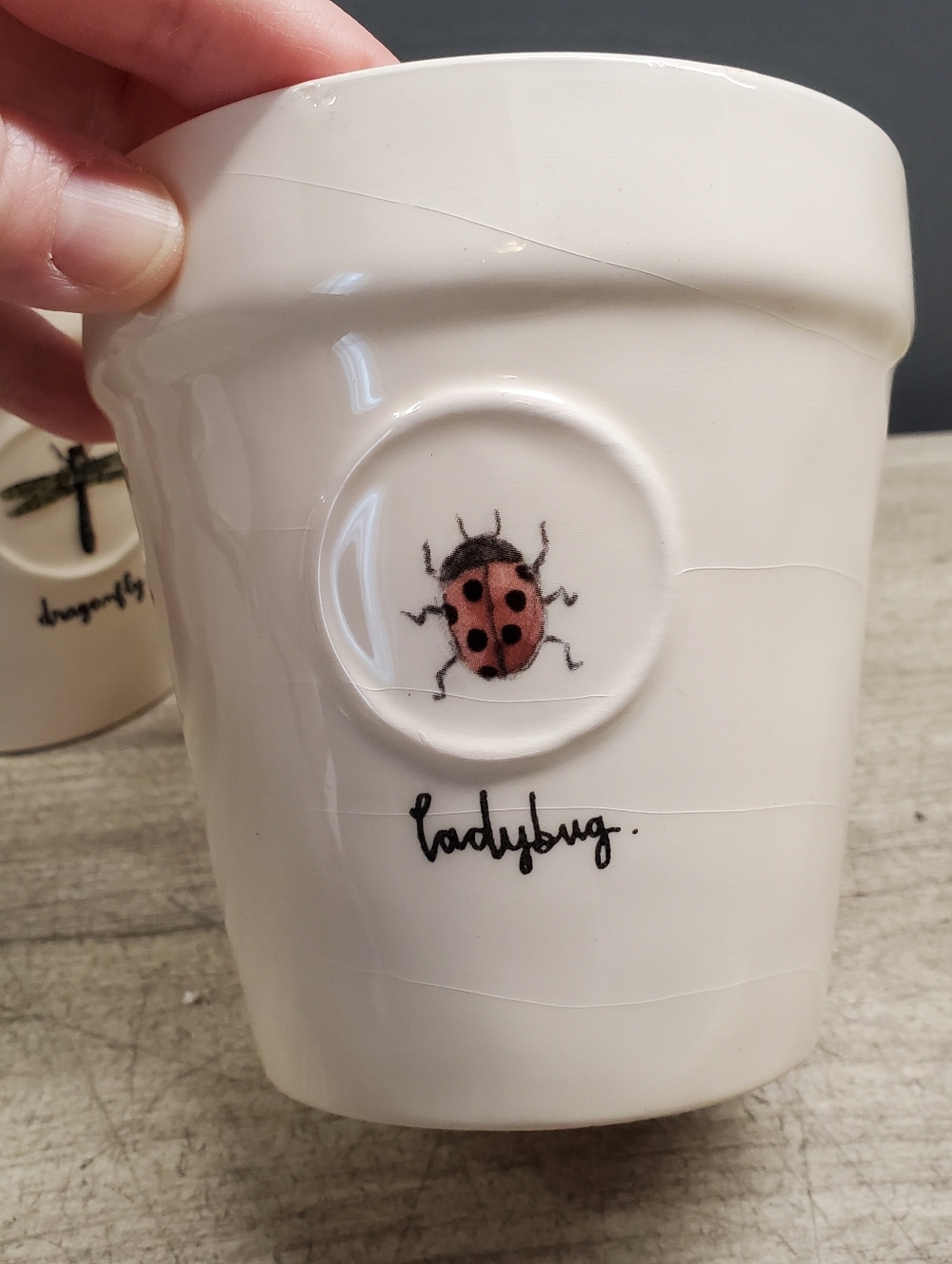 3 Rae Dunn planters with insect design - Picture 6 of 9